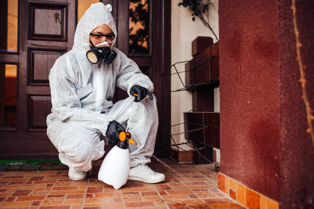 Reliable Cockroach Control contractor in Williston, SC by Nex Pest Control
